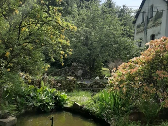 Forellengut Herzberger