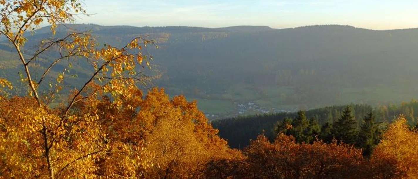 Blick vom Rinsley-Felsen