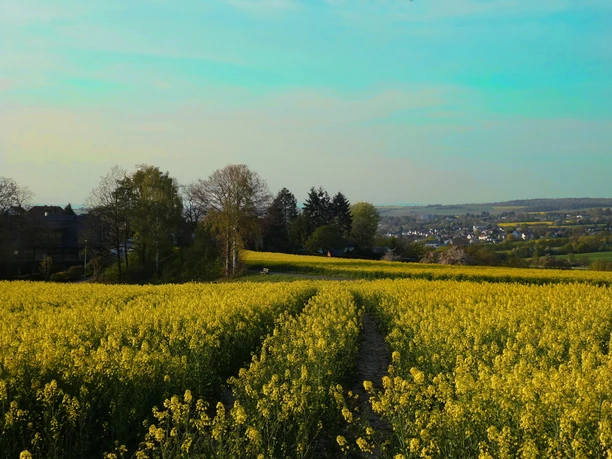 Ausblick von der Grillhütte Walsdorf