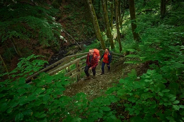 Wandernde im Helletal nahe Winterberg