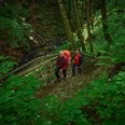 Wandernde im Helletal nahe Winterberg