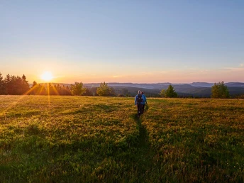 Sonnenuntergang in der Heidelandschaft auf dem Kahler Asten