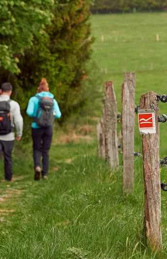 Pfad bei Küstelberg auf dem Rothaarsteig