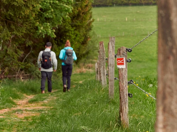 Pfad bei Küstelberg auf dem Rothaarsteig