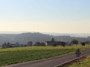 Hochtaunusstraße mit Kreuzkapelle