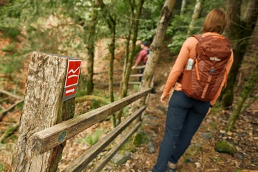 Pfad bei Wagenschmier auf dem Rothaarsteig