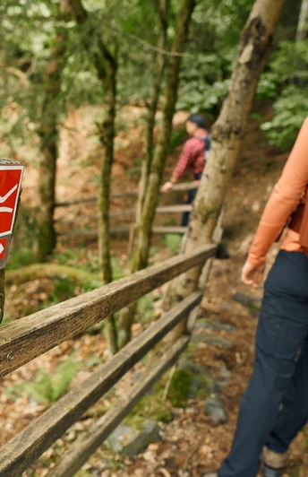 Pfad bei Wagenschmier auf dem Rothaarsteig