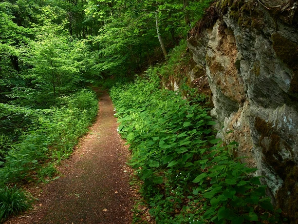 Rothaarsteig im Helletal in Winterberg