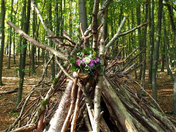 Wald-Tipi