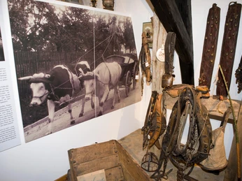 Heimatmuseum Seulberg