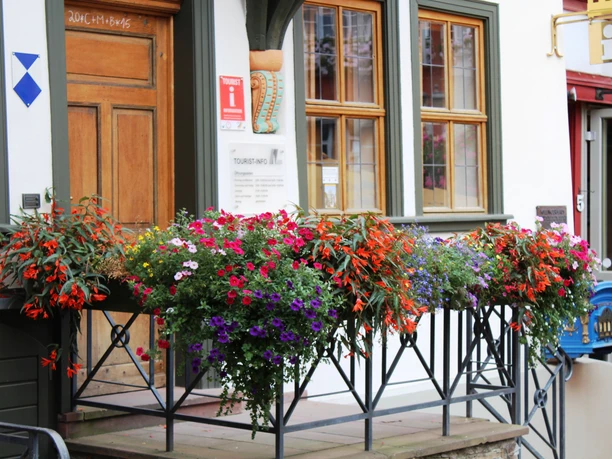 Stadtmuseum Idstein