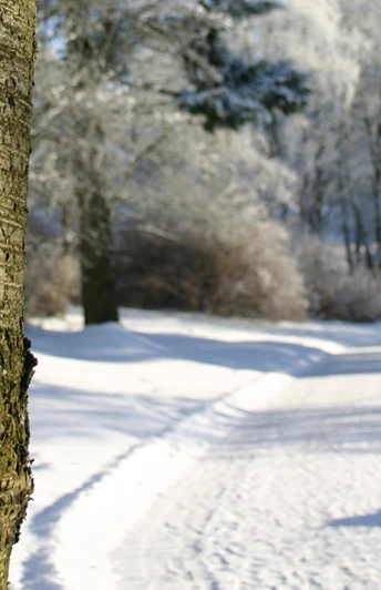 Winterwanderweg Hennesee A8