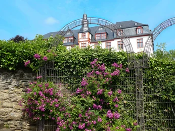 Schlossgarten Idstein