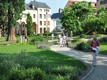 Schulgarten Foto KKK