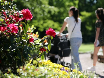 Flanieren im Kurpark Königstein