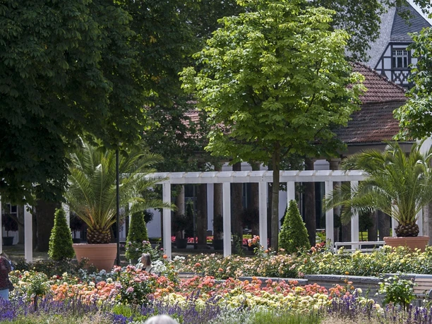 Bad Nauheimer Rosengarten