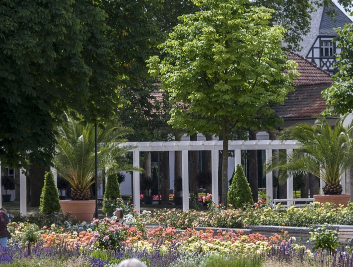 Bad Nauheimer Rosengarten