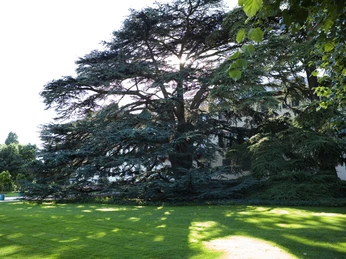 Schlosspark Bad Homburg