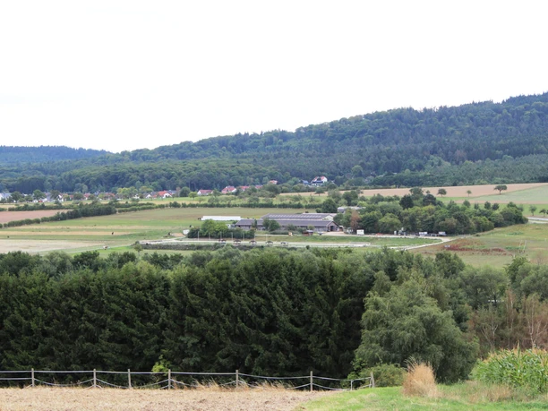 Islandpferdegestüt_Wehrheim