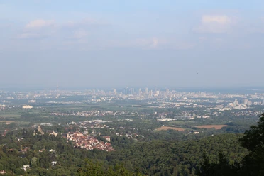 Blick vom Bergfried der Burgruine Falkenstein