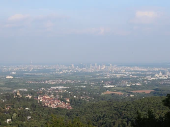 Blick vom Bergfried der Burgruine Falkenstein