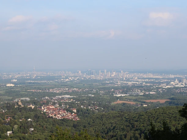 Blick vom Bergfried der Burgruine Falkenstein