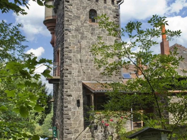 Neufvilleturm Eppstein