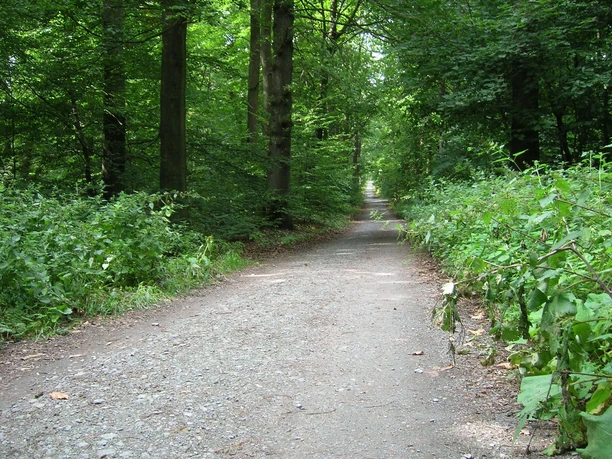 Herzwanderweg auf dem Hardtberg