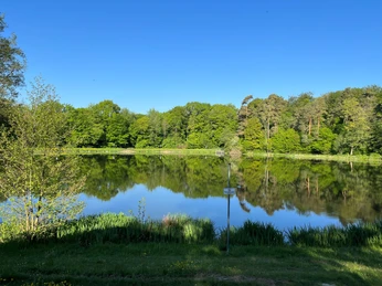 Badestelle Hattsteinweiher