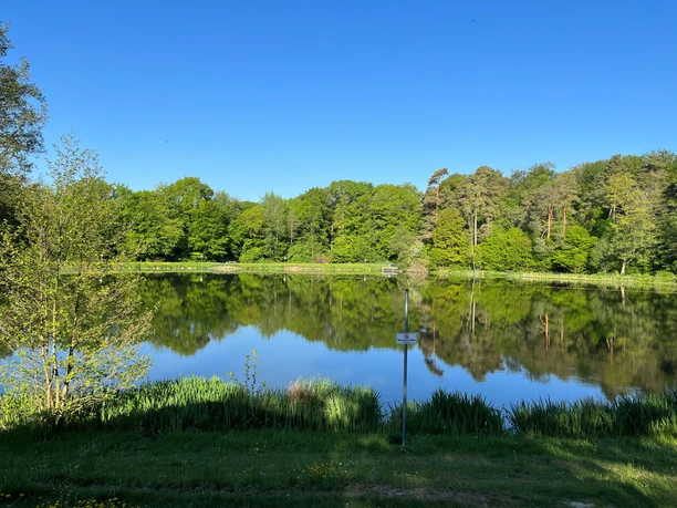 Badestelle Hattsteinweiher