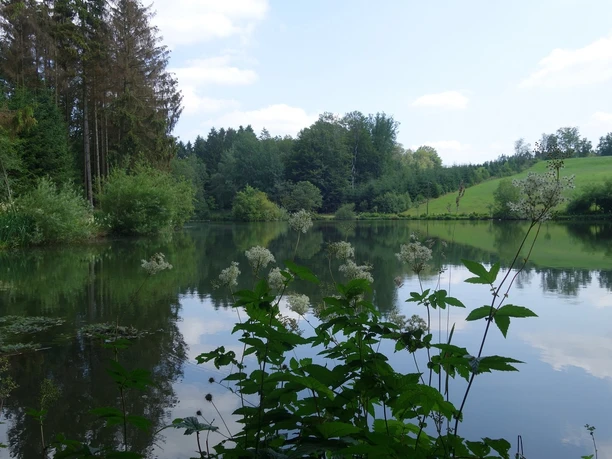Idyllisch: Die Teiche entlang der Wanderstrecke