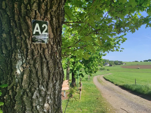 Wanderwegmarkierung