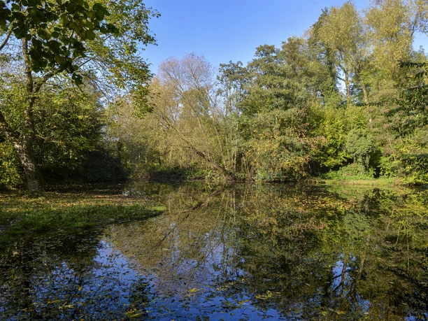 Der Weiher an den Wehrwiesen am Grillplatz.