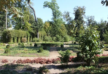 Kleiner Tannenwald