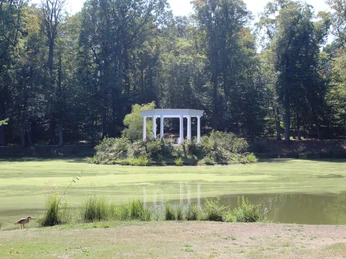 Kleiner Tannenwald, Bad Homburg