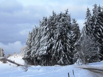 Limesstraße, Schmitten-Oberreifenberg