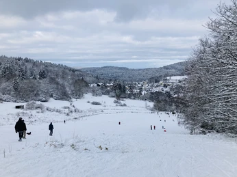 Vom oberen Bereich des Hangs hat man einen tollen Blick in die waldreiche Umgebung.