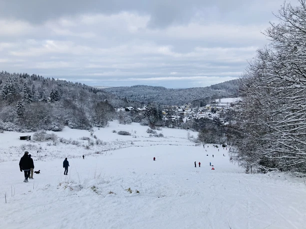 Vom oberen Bereich des Hangs hat man einen tollen Blick in die waldreiche Umgebung.