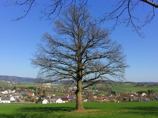 Aussicht vom Wellenberg auf Neuenrade-Kuentrop