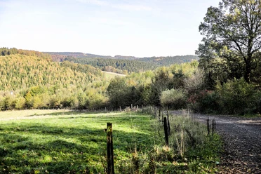 Ein Wanderweg im Wald mit Panoramablick auf die Landschaft.