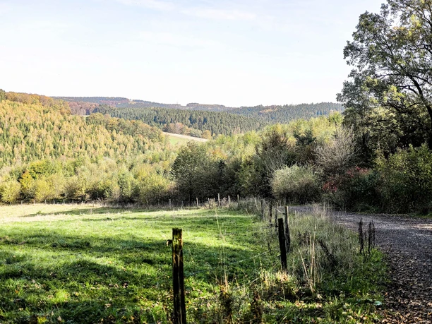 Ein Wanderweg im Wald mit Panoramablick auf die Landschaft.