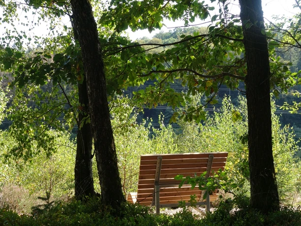 Waldsofa am Wegesrand