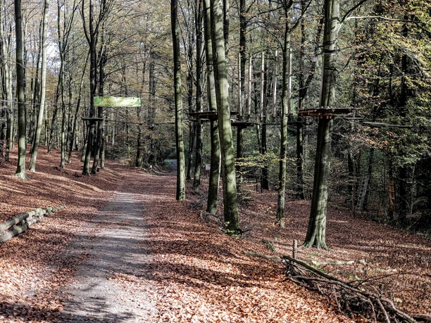 Der Weg führt durch den Kletterwald hindurch