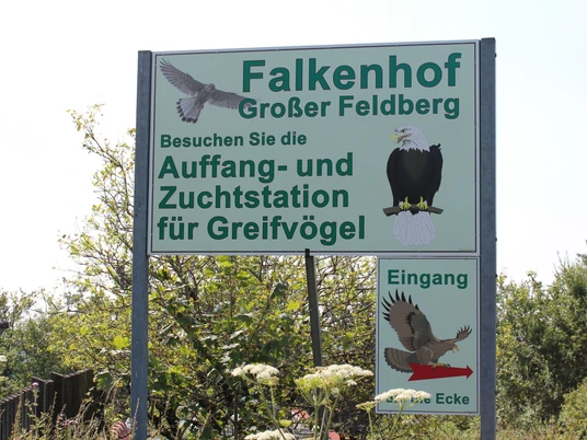 Falkenhof Großer Feldberg