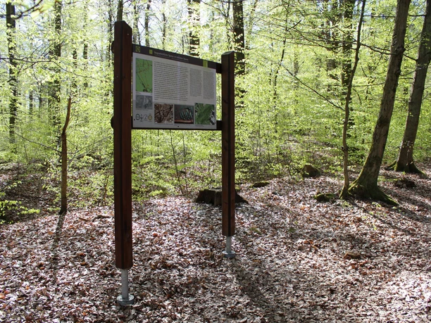 Infotafel Keltensiedlung Heidetränk-Oppidum