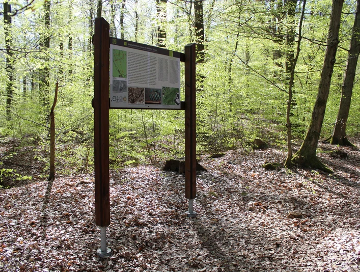 Infotafel Keltensiedlung Heidetränk-Oppidum