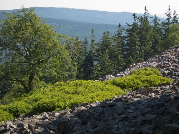 Ringwall auf dem Altkönig