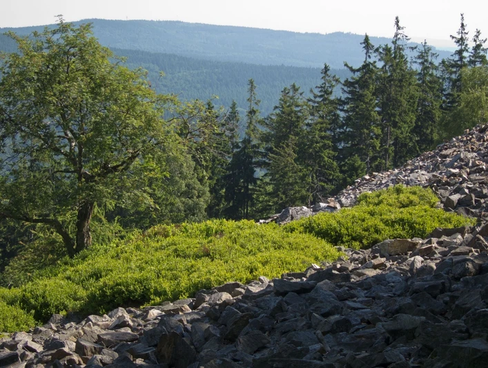 Ringwall auf dem Altkönig