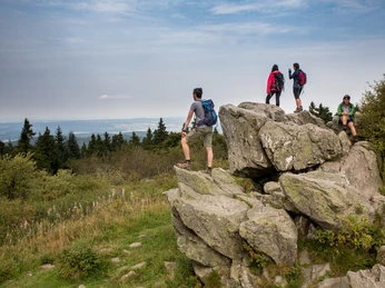 Wanderer auf dem Brunhildisfelsen
