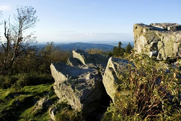 Brunhildisfelsen auf dem Großen Feldberg